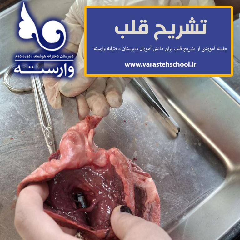 برگزاری جلسه تشریح قلب در دبیرستان دخترانه وارسته رشت